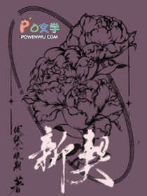 新契