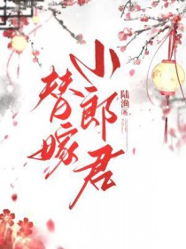 替嫁小郎君
