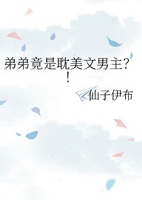 弟弟竟是耽美文男主