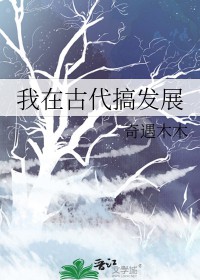 我在古代搞发展
