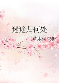 迷途归何处