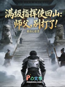 满级指挥使回山：师父，别打了