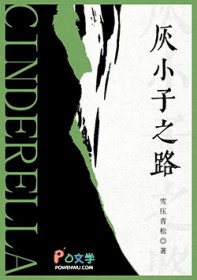 灰小子之路