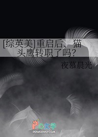 [综英美] 重启后，猫头鹰转职了吗