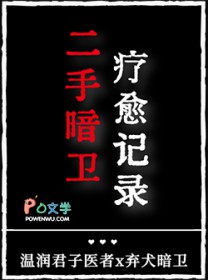 二手暗卫疗愈记录