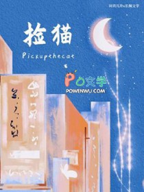 捡猫