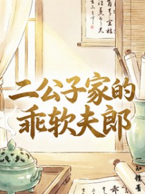 二公子家的乖软夫郎